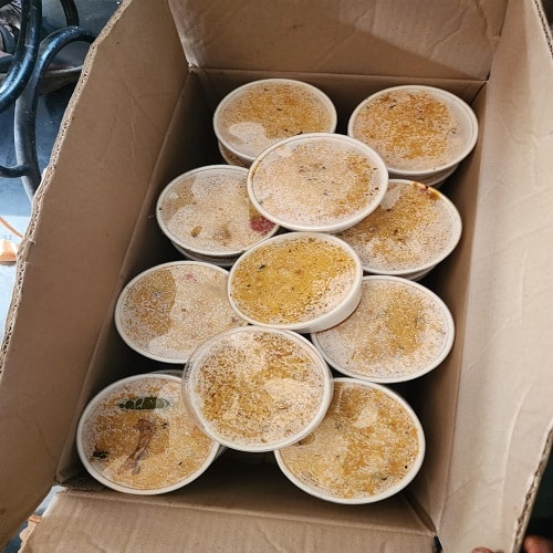 Biryani in the boxes